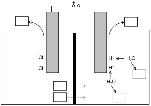 Schematische Elektrolysezelle mit zwei Elektroden, Membran und Ionentransport